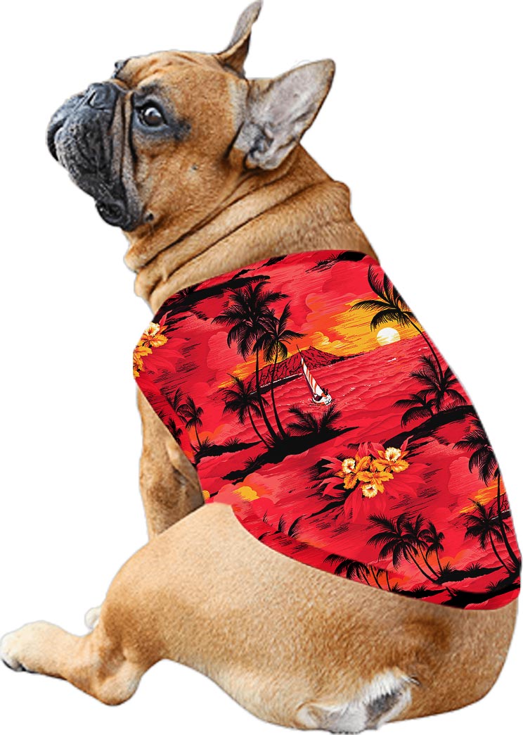 Beach Sunset Red Aloha Shirt And Dress Matching For Couple