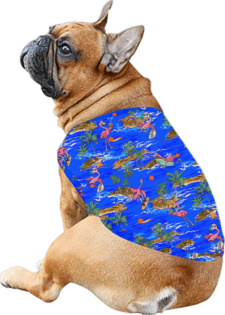 Surfing Flamingo Blue Hawaiian Shirt And Dress Matching
