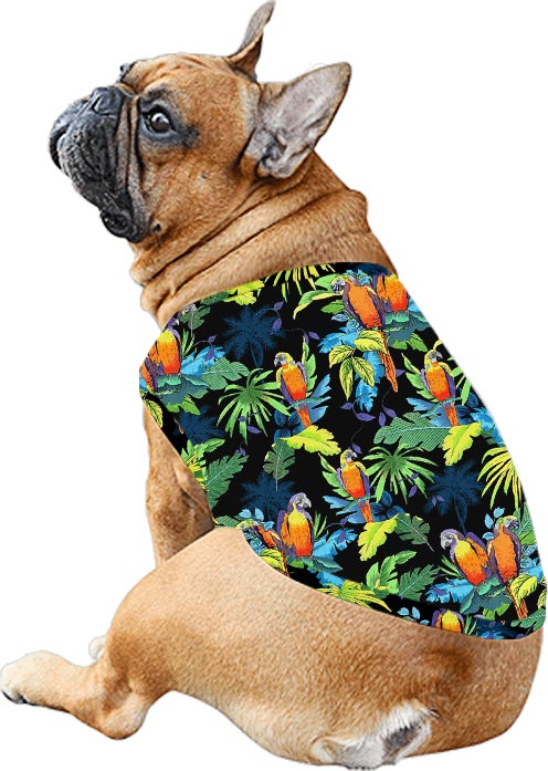 Tropical Parrots Matching Hawaiian Shirt And Dress For Family