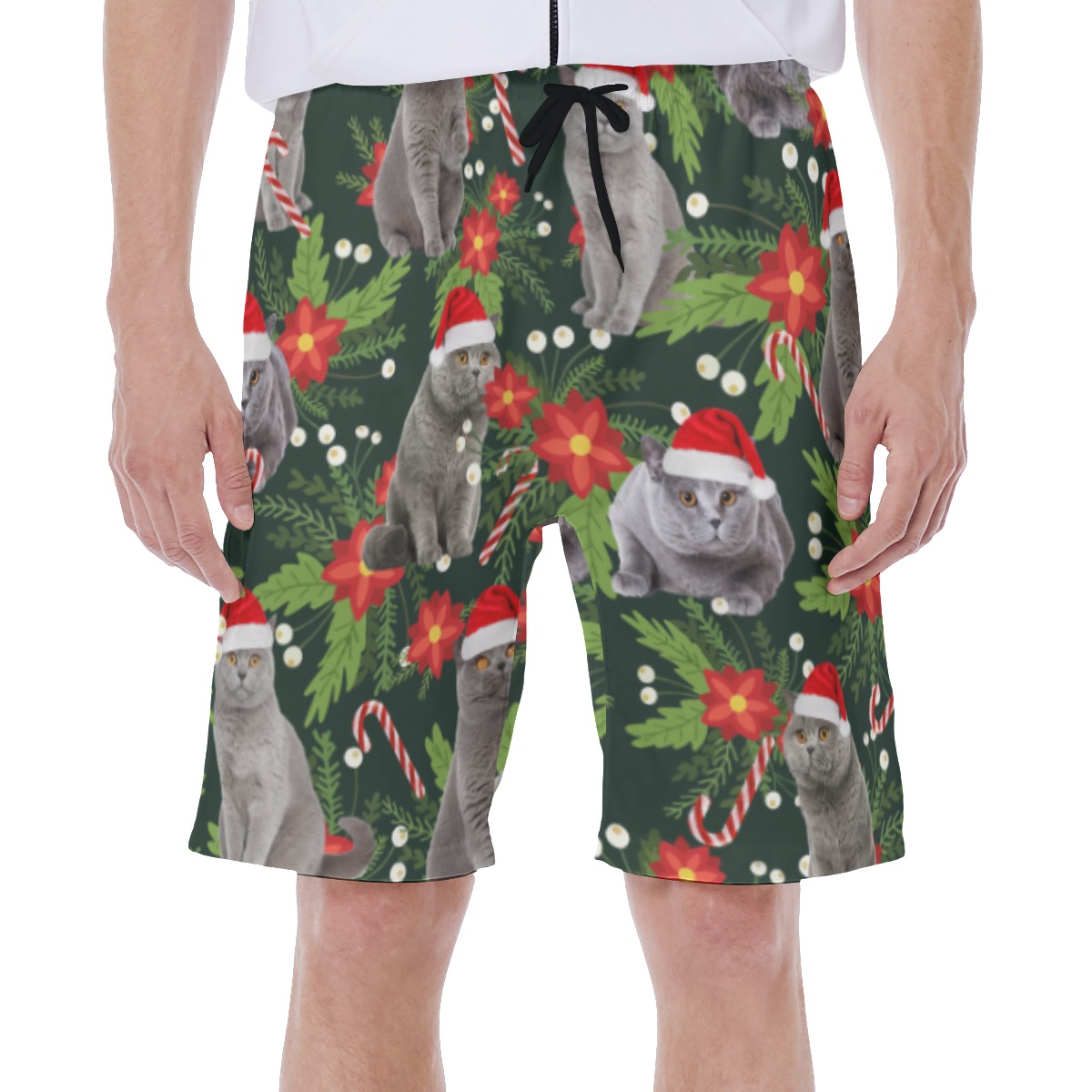 Funny Christmas Cat Tropical Hawaiian Swim Trunks For Men - variant image 1