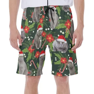 Funny Christmas Cat Tropical Hawaiian Swim Trunks For Men