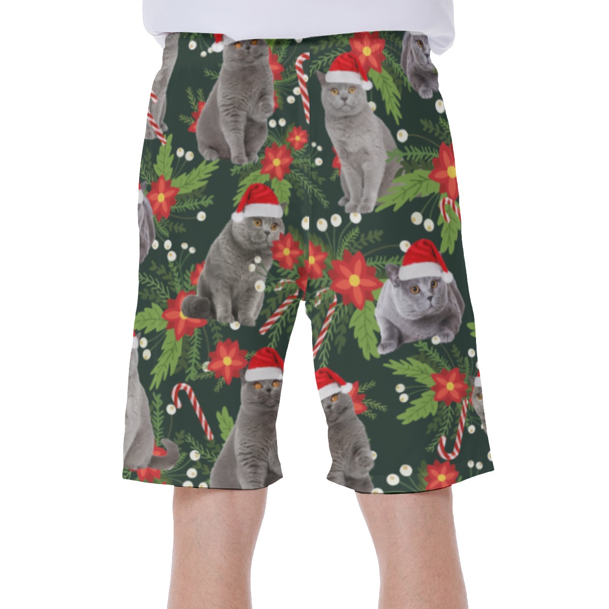 Funny Christmas Cat Tropical Hawaiian Swim Trunks For Men