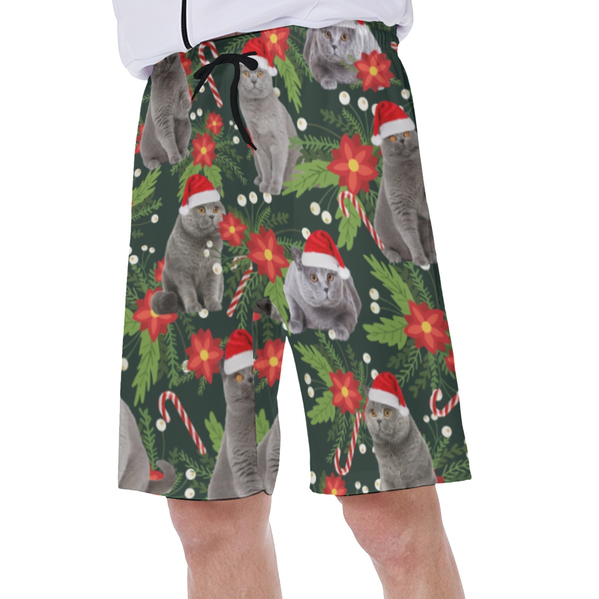 Funny Christmas Cat Tropical Hawaiian Swim Trunks For Men