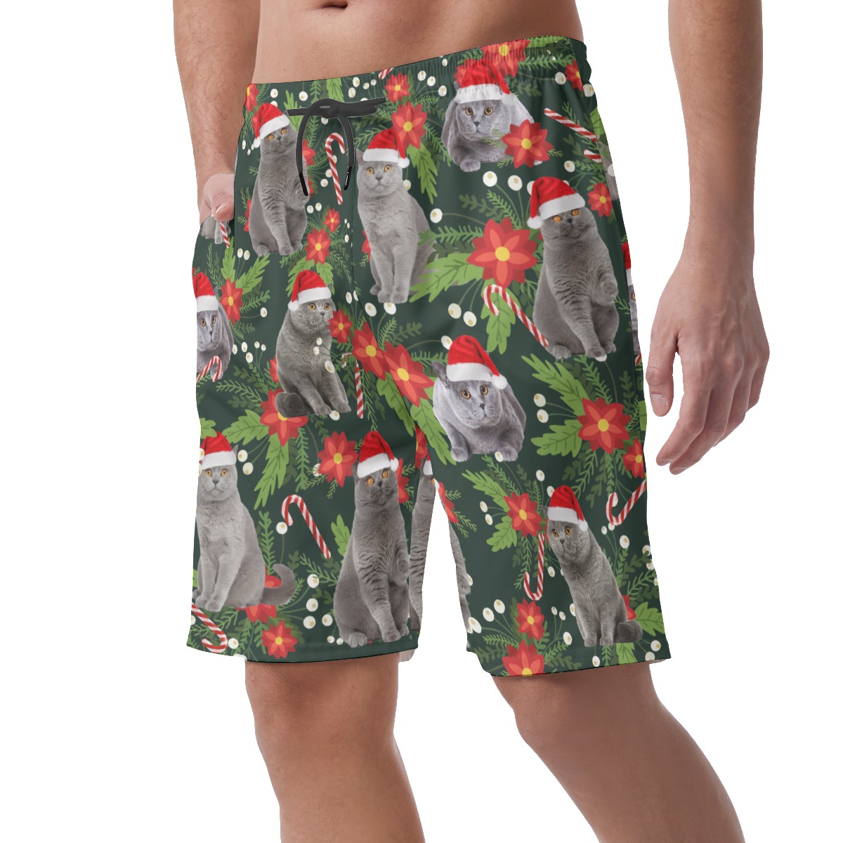 Tropical Christmas Cat Hawaiian Beach Shorts For Men