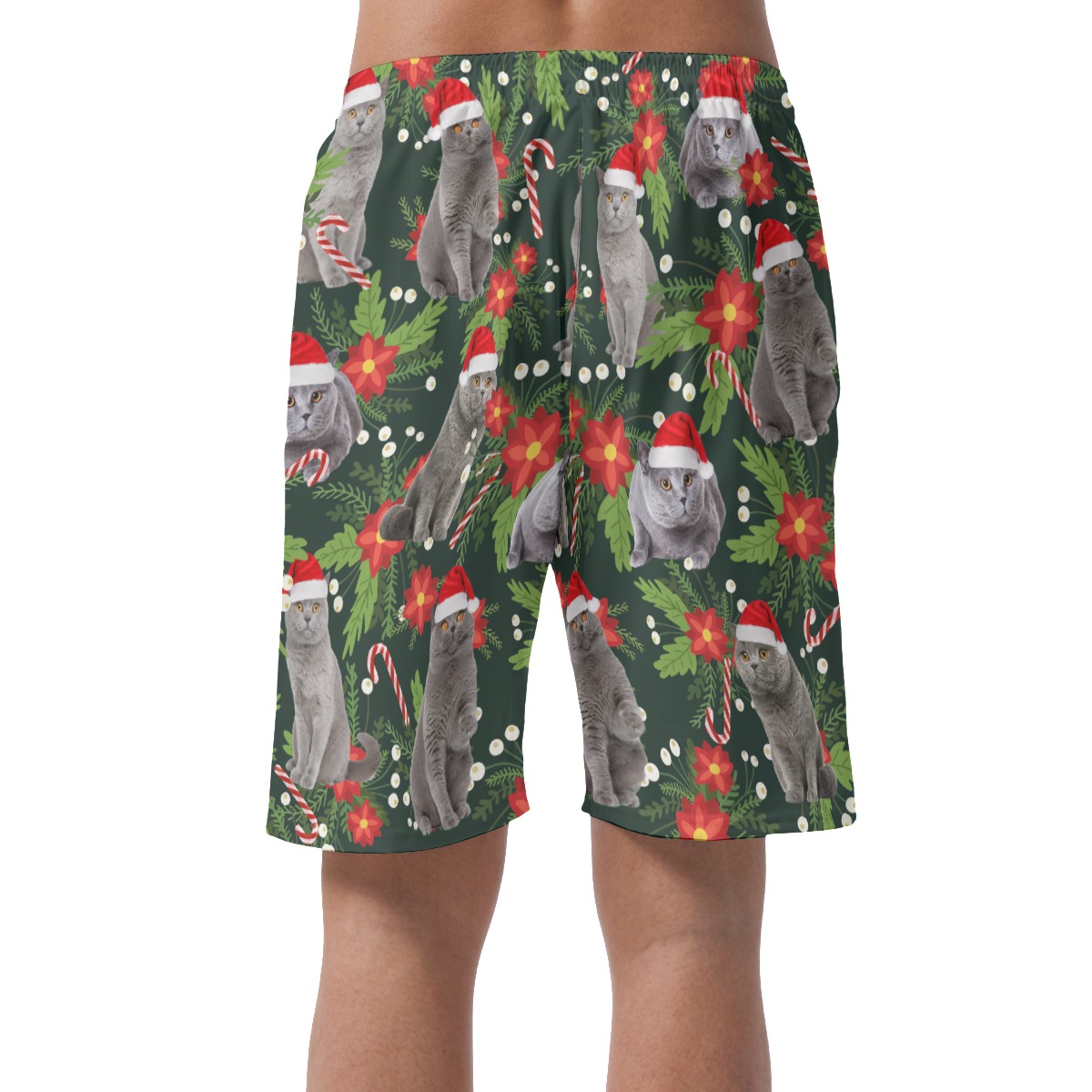 Tropical Christmas Cat Hawaiian Beach Shorts For Men