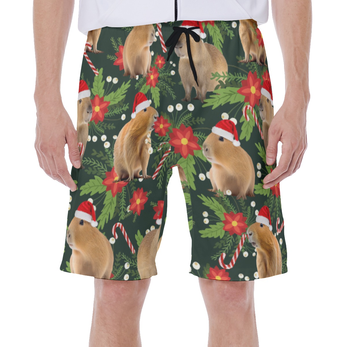 Tropical Christmas Capybara Hawaiian Swim Trunks For Men - variant image 1