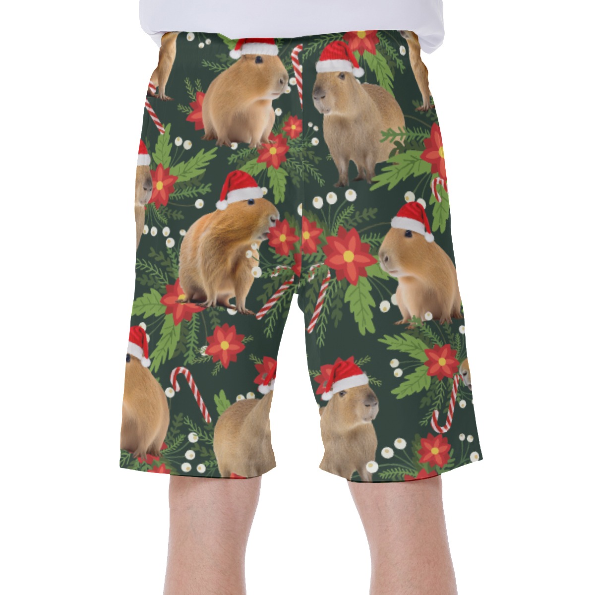 Tropical Christmas Capybara Hawaiian Swim Trunks For Men