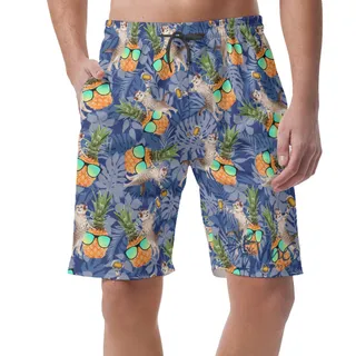 Funny DJ Cat Pineapple Hawaiian Beach Shorts For Men