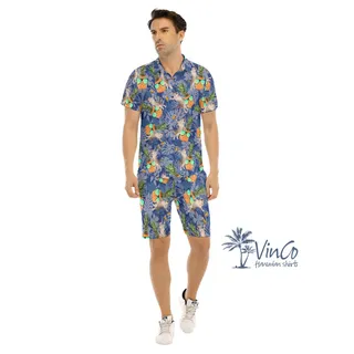 Funny DJ Cat Pineapple Hawaiian Shirt And Shorts For Men
