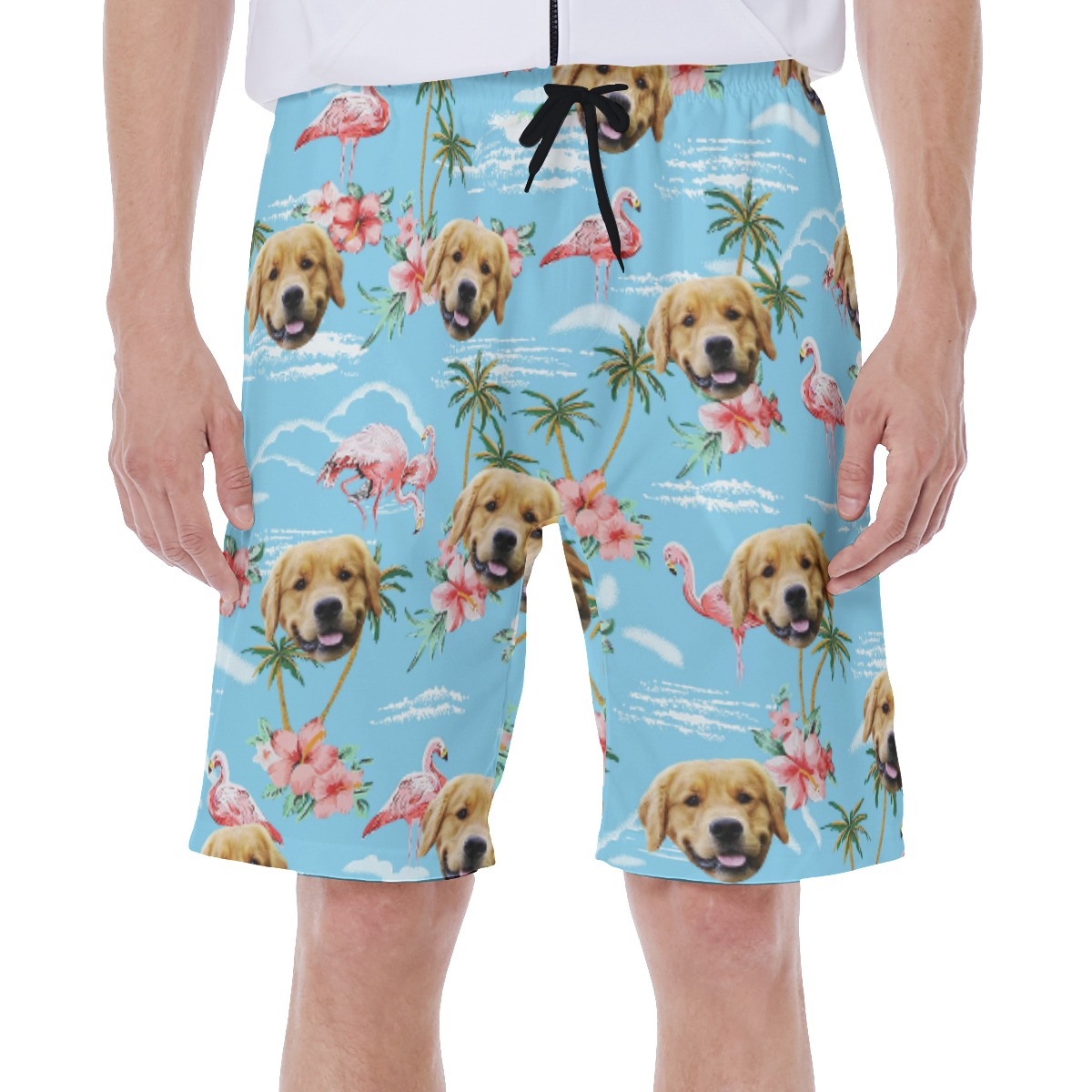 Light Blue Flamingo Custom Dog Face Men's Shorts - variant image 1