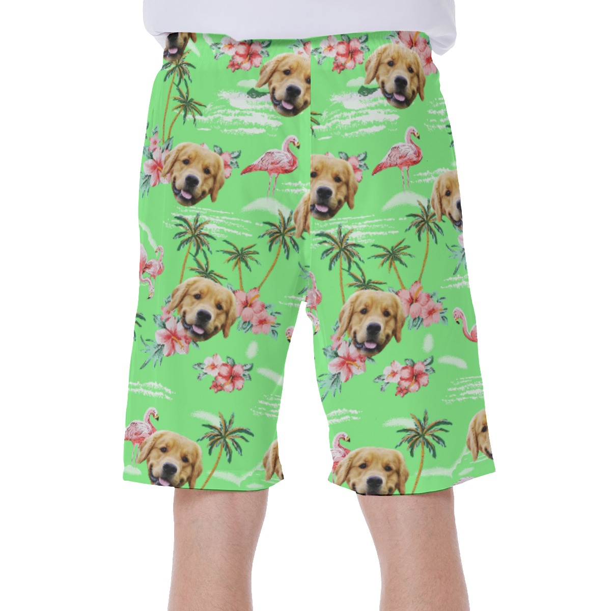 Beach Flamingo Custom Dog Face Men's Swim Trunks