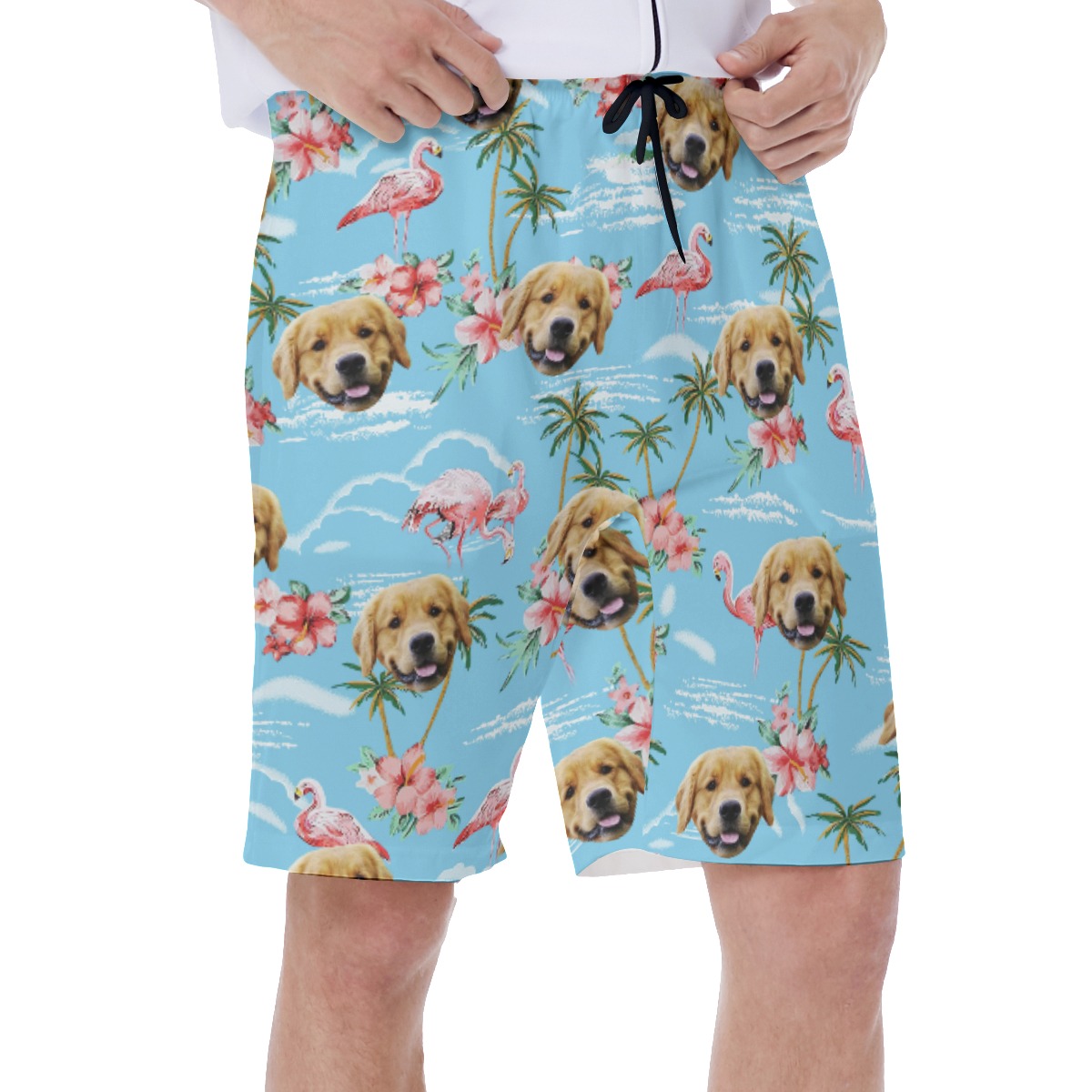 Light Blue Flamingo Custom Dog Face Men's Shorts