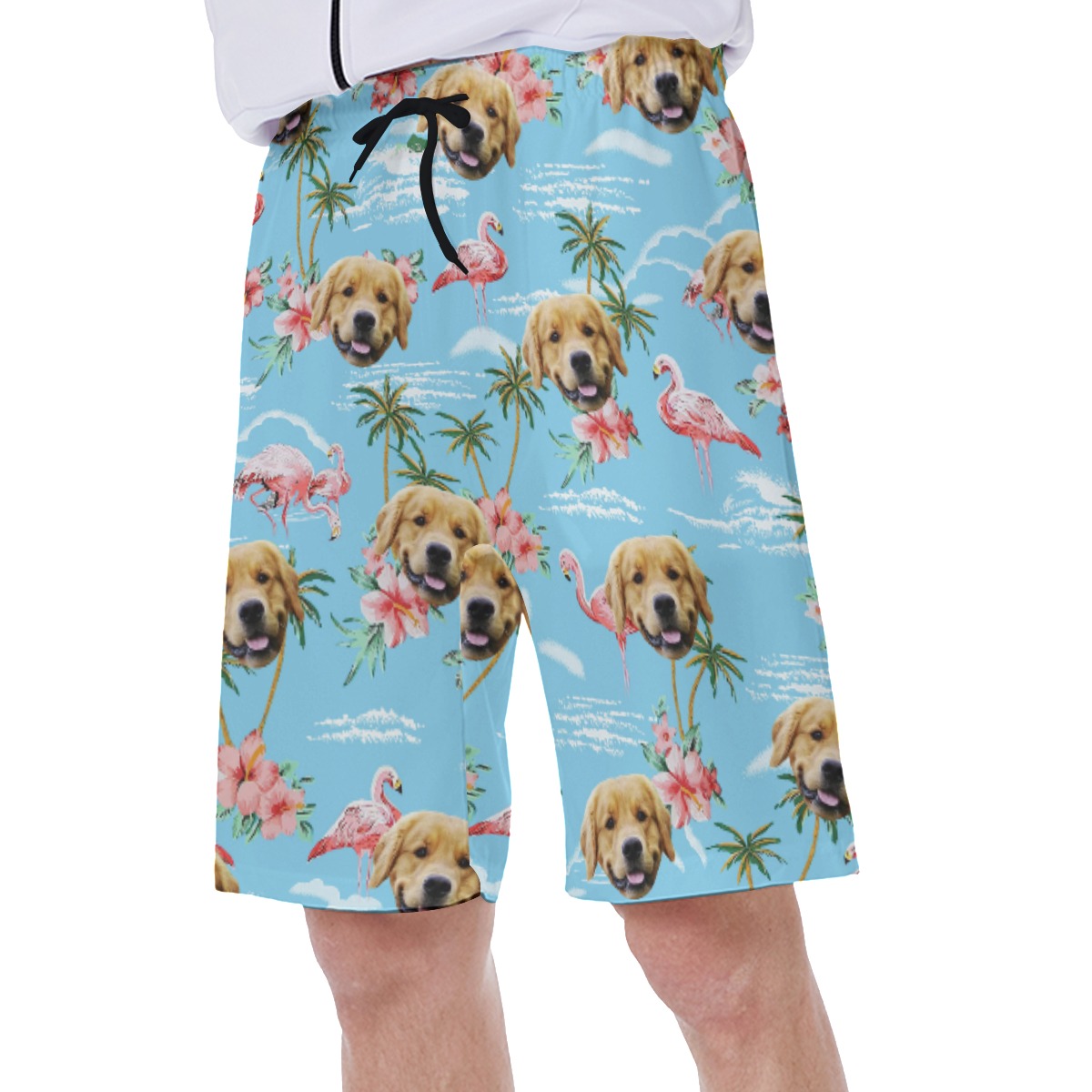 Light Blue Flamingo Custom Dog Face Men's Shorts