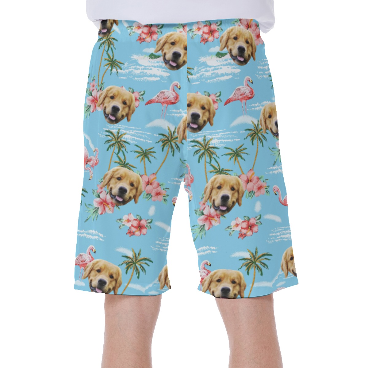 Light Blue Flamingo Custom Dog Face Men's Shorts