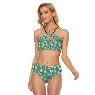 Funny Dinosaurus Women's Cami Keyhole Two-piece Swimsuit