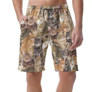 Cat Lovers Custom Photo Men's Casual Shorts