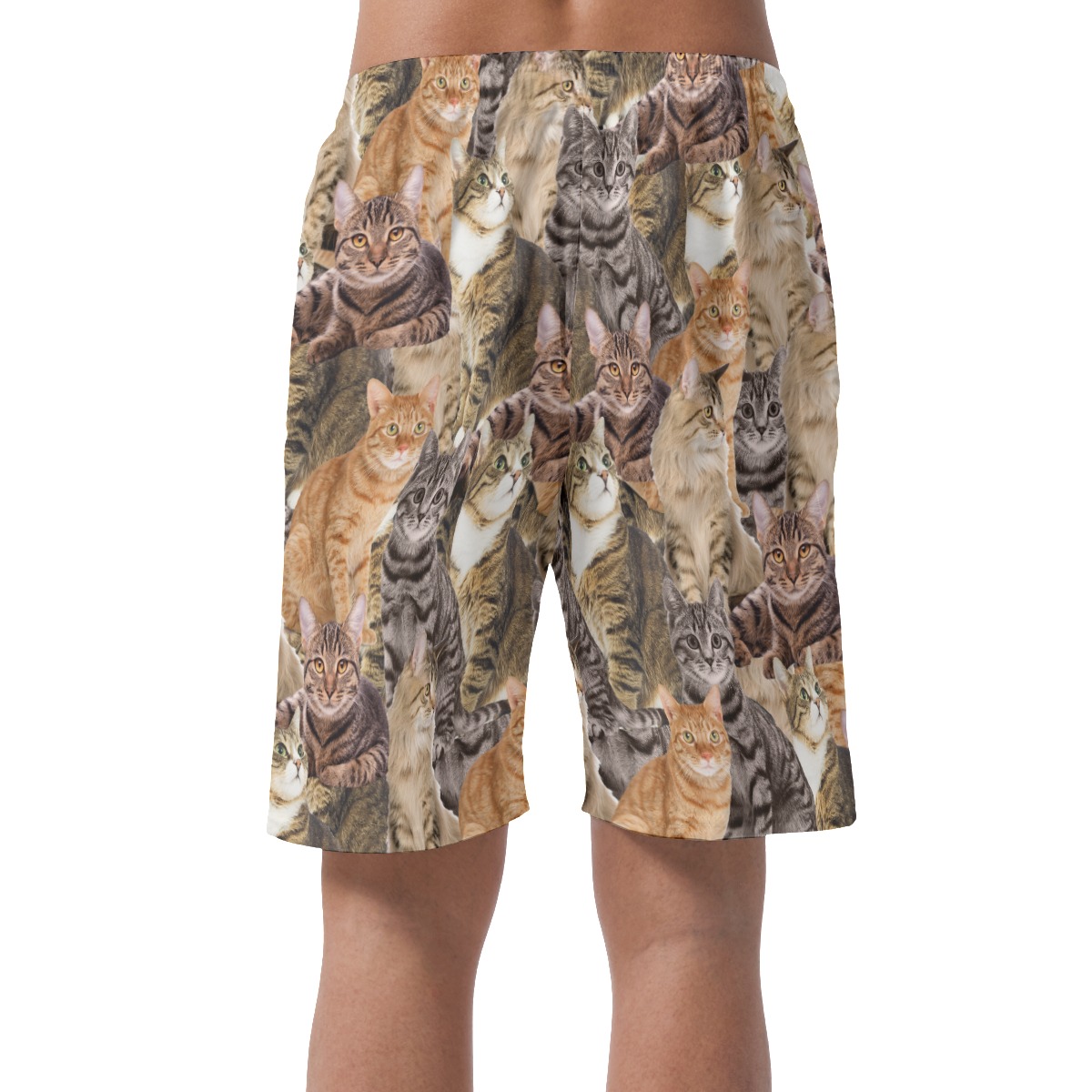 Cat Lovers Custom Photo Men's Casual Shorts