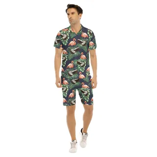 Men's Hawaiian Flamingo Coconut Shirt And Shorts