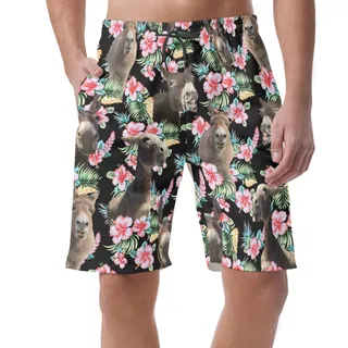 Funny Donkey Beach Shorts